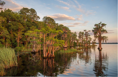 Raiford to Osceola Greenway Florida Forever Project