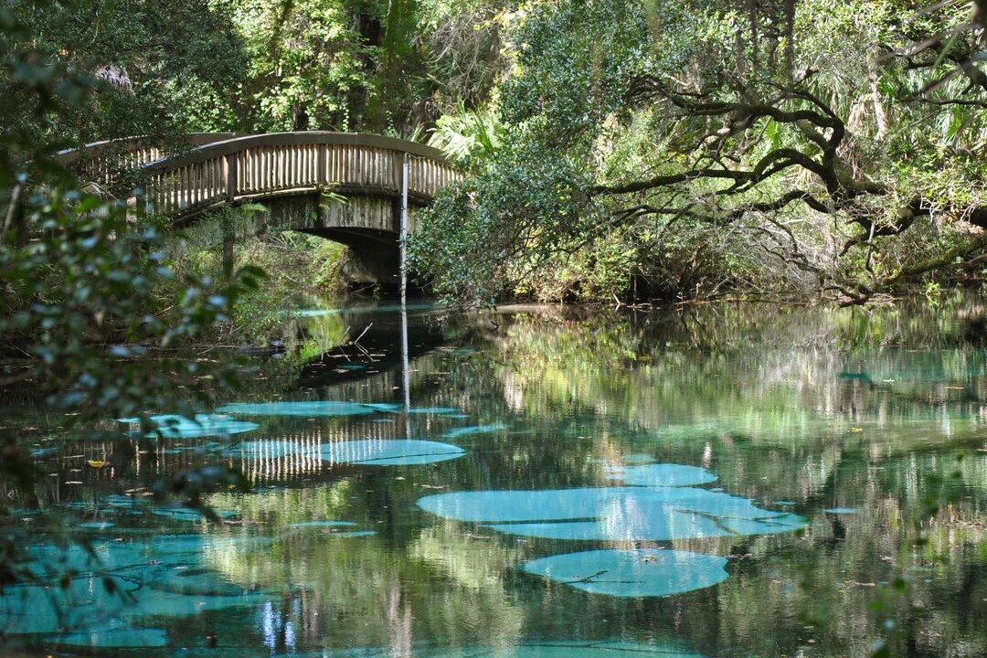 Pedestrian bridge at Crystal River Preserve State Park