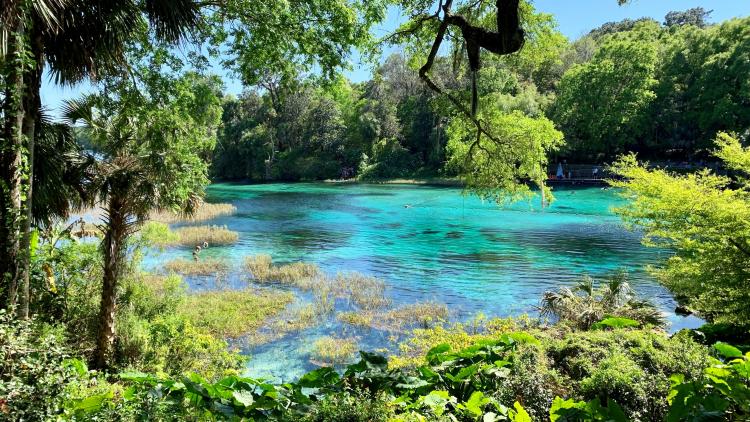 Rainbow Springs State Park