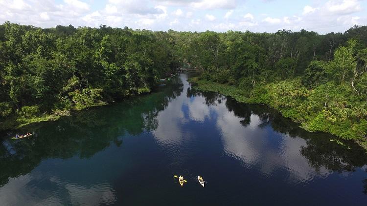 kayakers in wekiwa springs state park