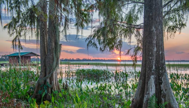catfish creek