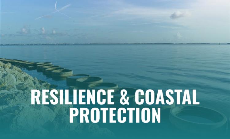 Resilience & Coastal Protection