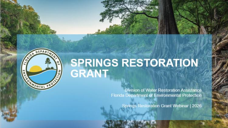 Springs Webinar