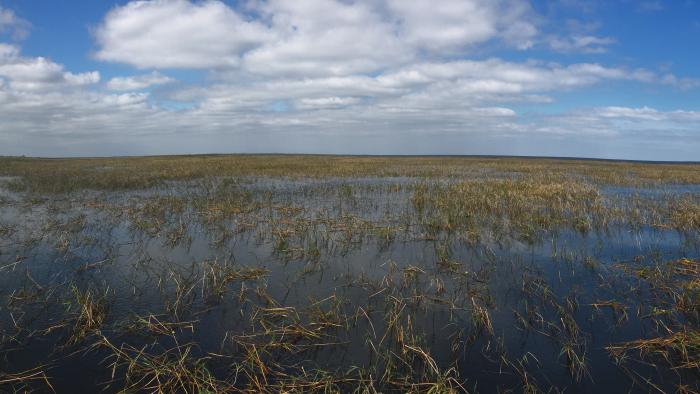 Lake Okeechobee