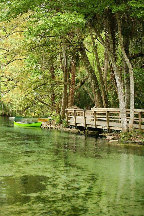 clear water at wekiwa springs state park