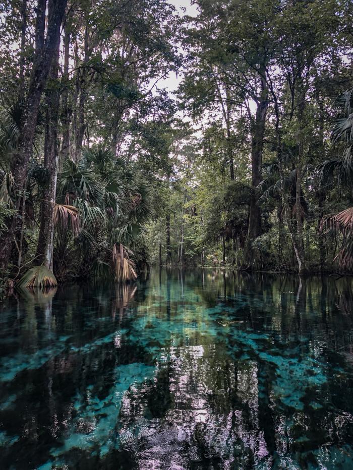 clear spring water at silver springs state park