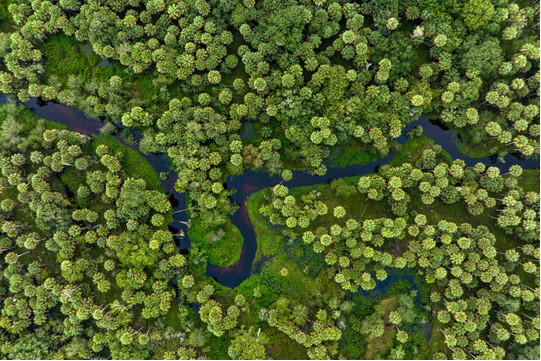 Winding river from above