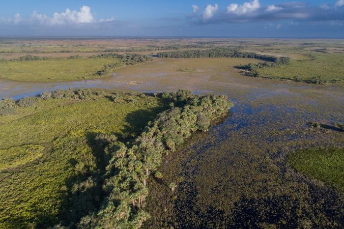 florida wildlife corridor from above
