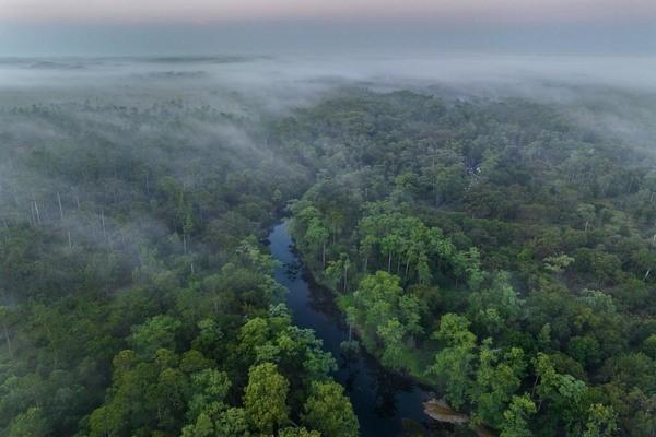 fisheating creek ecosystem