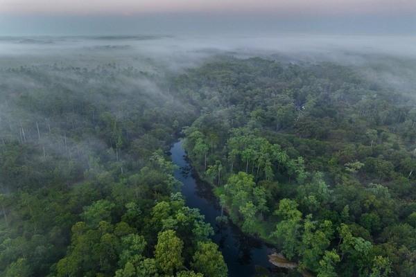 fisheating creek ecosystem 